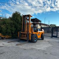 S139 - Muletto 130 q Raniero