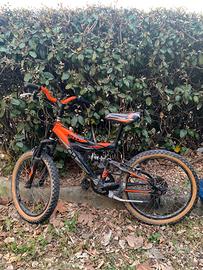 Bici Mountain bike Vicini Shock absorber