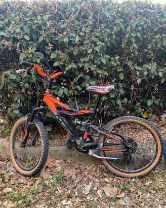Bici Mountain bike Vicini Shock absorber