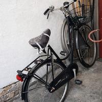 Bicicletta donna con freni a bacchetta 