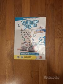 VOLTIAMO PAGINA 2
