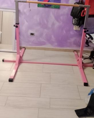 Barra da ginnastica