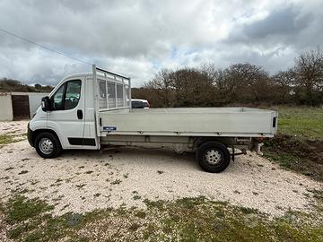 Fiat ducato 2.3 multijet 10/2020 cassonato