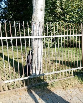 cancello a due ante c