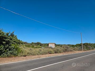 Terreno campagna