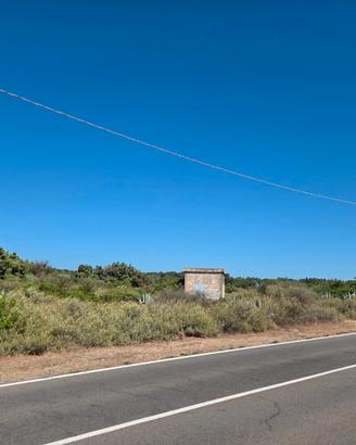 Terreno campagna