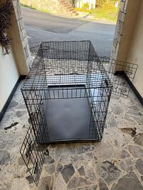 kennel cane