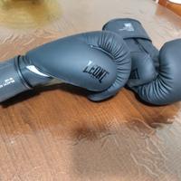 Guantoni da boxe