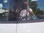 Immagine 13