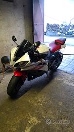 Yamaha R6 2009 Perfetta