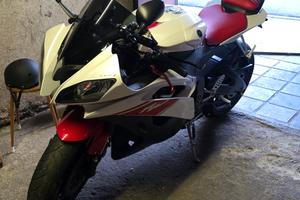 Yamaha R6 2009 Perfetta