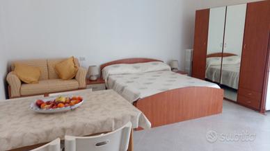 Camera arredata- centro arcore(mb)