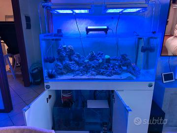 acquario AQPET  300 litri 