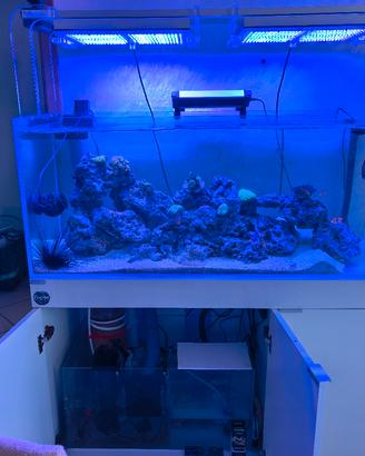 acquario AQPET  300 litri 