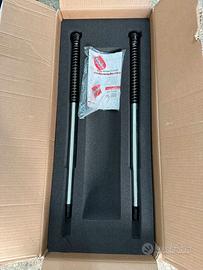 Cartucce Bitubo MV Agusta Brutale 800