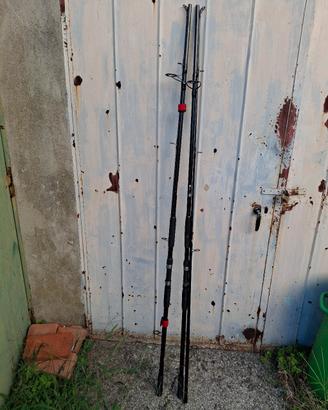 canne carpfishing 