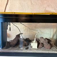 Acquario