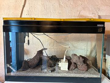 Acquario