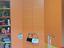 Immagine 3