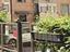 Immagine 14