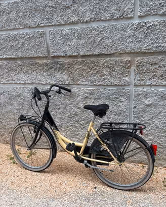 Bici donna modello hollanda