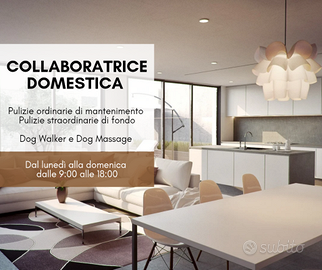 Collaboratrice Domestica e Dog Sitter