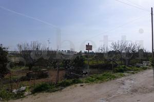 Terreno Residenziale Copertino [CO 155VRG]