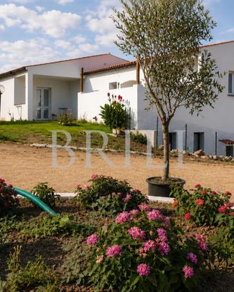 Gallura: villa immersa in un oasi di pace con pote