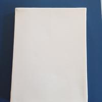 Tele pittura ad olio