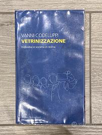 Vetrinizzazione