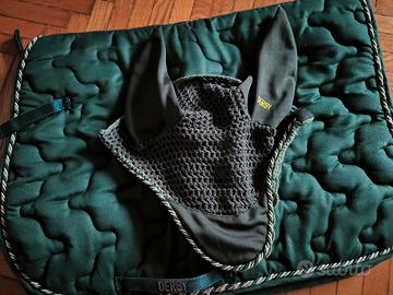 sottosella e paraorecchie marca Derby per cavallo