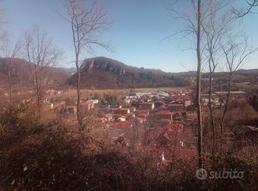 Terreno Boschivo 6Ha Bisuschio (VA)