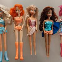 Winx bambole e suoi accessori 