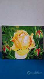 Quadro decorativo fiore giallo