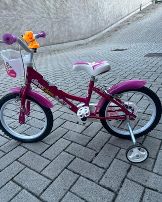Bicicletta