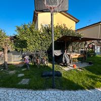 Canestro tarmak