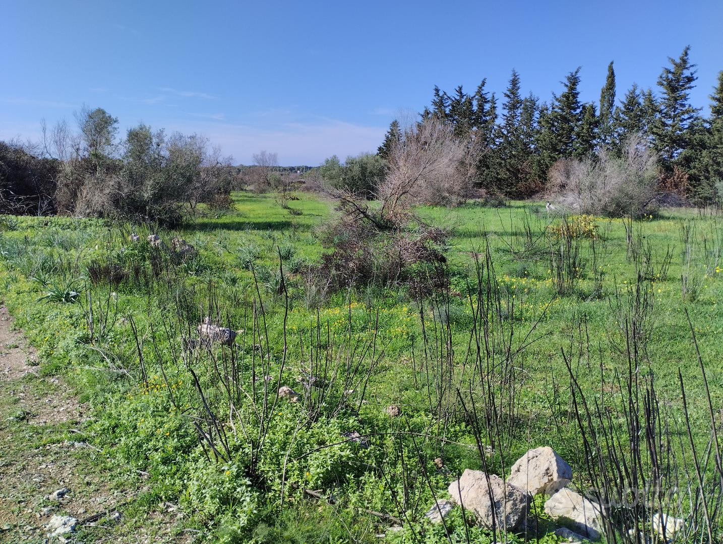 Terreno Gallipoli - Vista 3