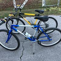 Coppia di mountain bike