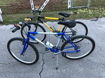 Coppia di mountain bike