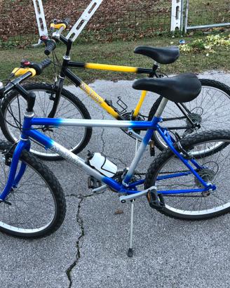 Coppia di mountain bike