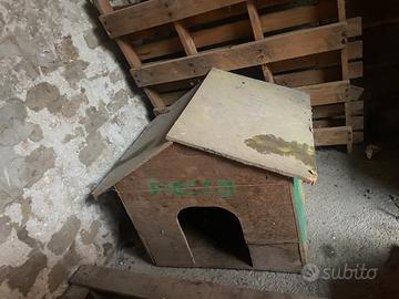 Cuccia x cani