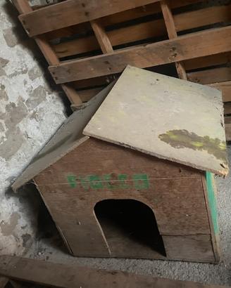 Cuccia x cani