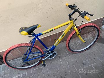 Bici Moutan bike 26’