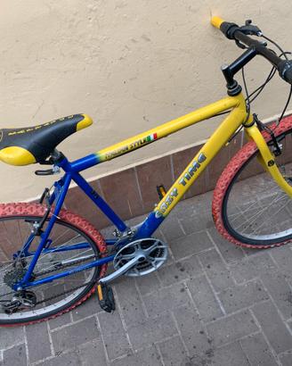 Bici Moutan bike 26’