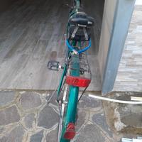 bicicletta schiano
