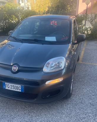 Fiat Panda 1.2 Easy NEOPATENTATI