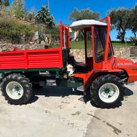 Goldoni transcar 25