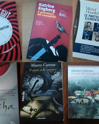 Libri narrativa