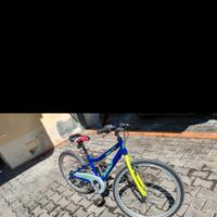 bicicletta 24 pollici ragazzo