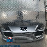 PARAURTI ANTERIORE PEUGEOT 307 (05-09)